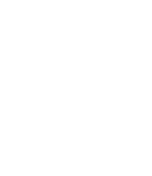 teddy